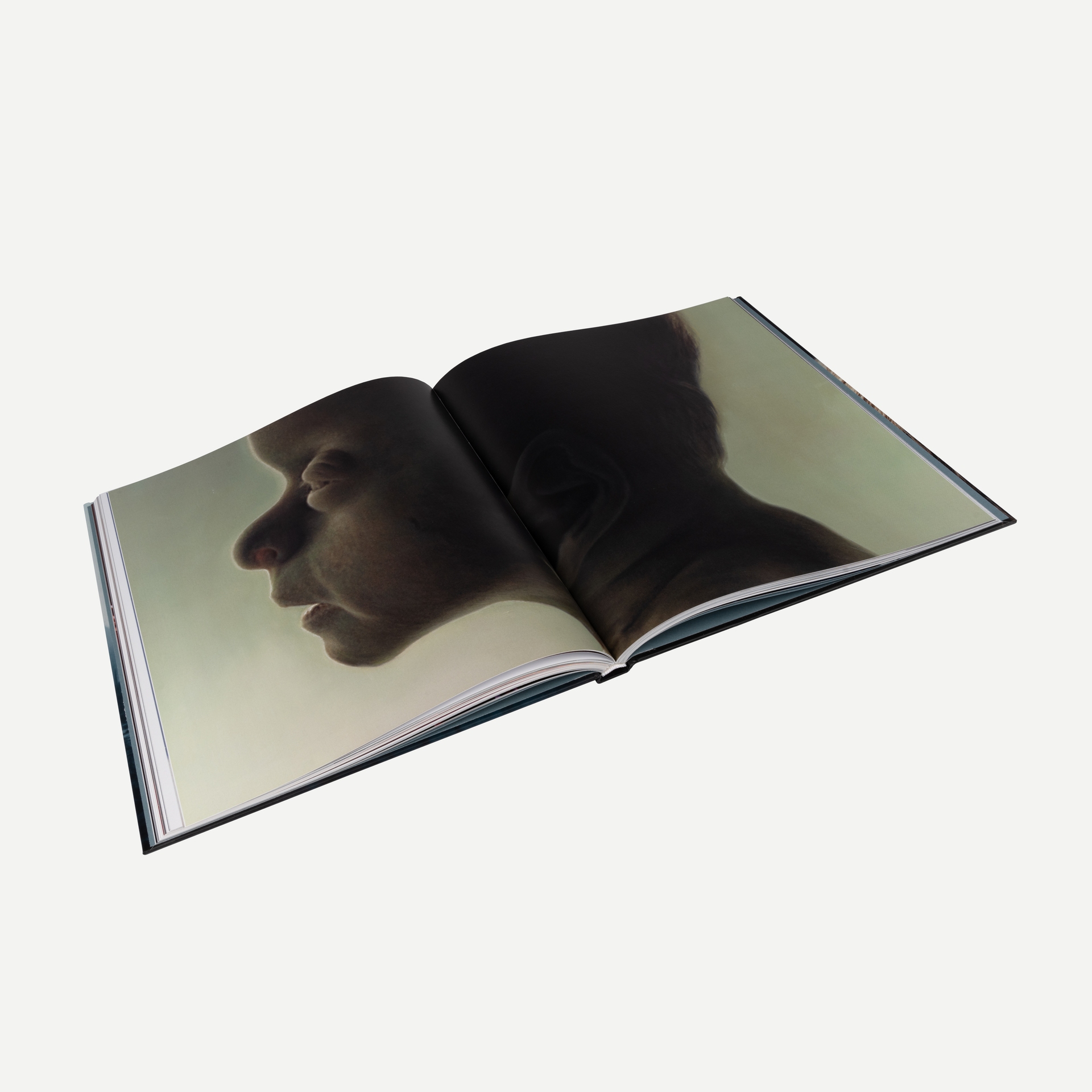 Helnwein by Gottfried Helnwein | Goodreads