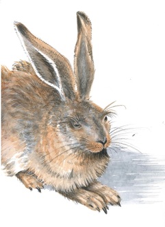 185402_c_albertina_duererhase_aquarell 185402_c_albertina_duererhase_aquarell