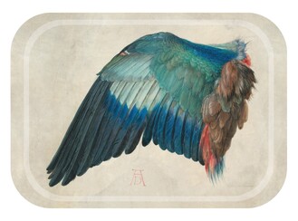 tray_duerer_left_wing_of_a_blue_roller