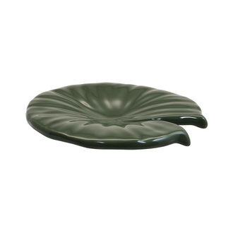 Water_lily_leaf_pad_light_green_side Water_lily_leaf_pad_light_green_side