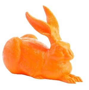 hoerl_hare_duerer_orange