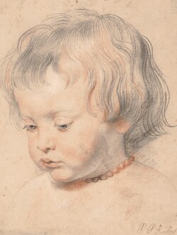 poster_rubens_nicholas_rubens poster_rubens_nicholas_rubens