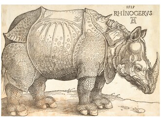 poster_duerer_rhinoceros poster_duerer_rhinoceros