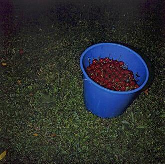 804605_willmann_kirschen_edition