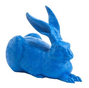 hoerl_hase_duerer_blau