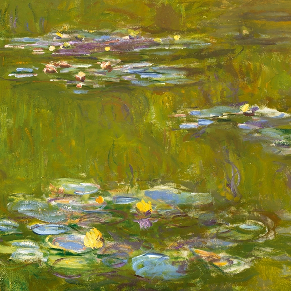 126729_2023_monetbispicasso