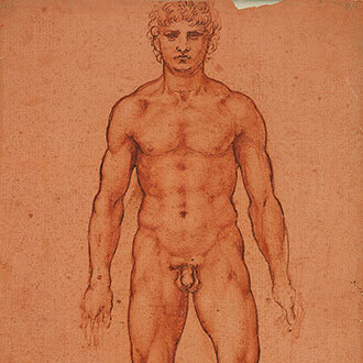 Stehender-männlicher-Akt-Da-Vinci