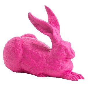 hoerl_hase_duerer_pink