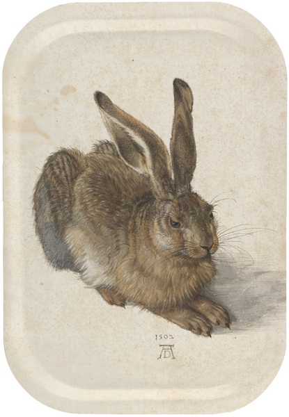 tray_duerer_hare
