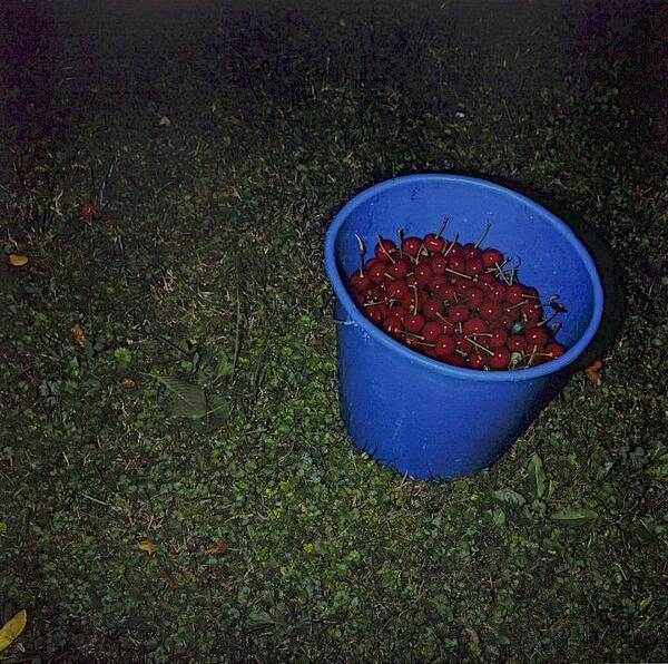 804605_willmann_kirschen_edition